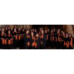 26-03-2015 - MCS_Marketing - Opus Sanctus - banner.jpg